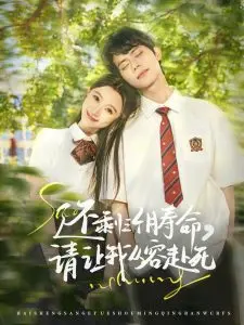 生命倒计时：《还剩三个月寿命，请让我从容赴死》的深刻人生哲思